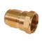 Everflow 3/8" Flare x FIP Adapter Pipe Fitting; Brass F46-38 - alternate 1